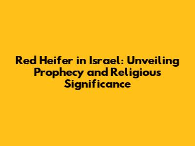 Red Heifer in Israel: Unveiling Prophecy and Religious Significance