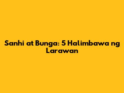 Sanhi at Bunga: 5 Halimbawa ng Larawan