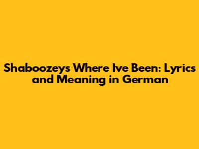 Shaboozey's "Where I've Been": Lyrics and Meaning in German