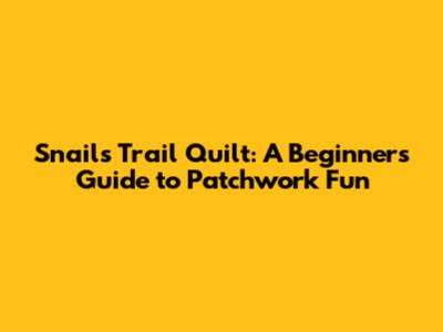 Snails Trail Quilt: A Beginner's Guide to Patchwork Fun