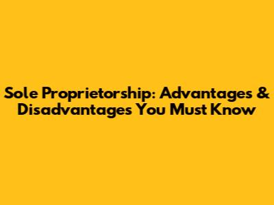 Sole Proprietorship: Advantages & Disadvantages You Must Know