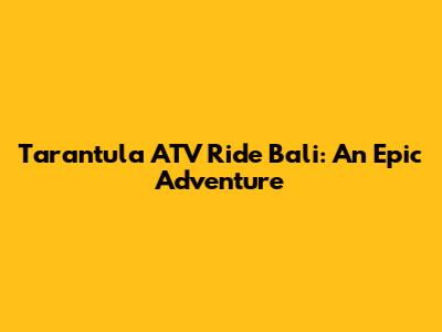 Tarantula ATV Ride Bali: An Epic Adventure
