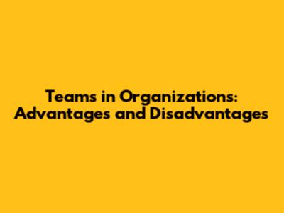 Teams in Organizations: Advantages and Disadvantages