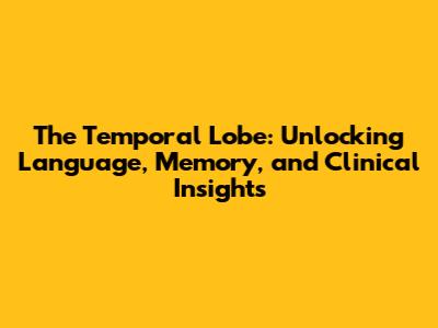 The Temporal Lobe: Unlocking Language, Memory, and Clinical Insights