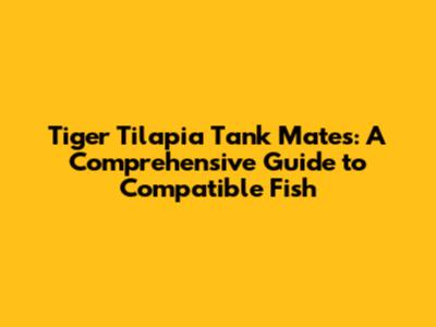 Tiger Tilapia Tank Mates: A Comprehensive Guide to Compatible Fish