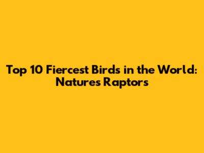 Top 10 Fiercest Birds in the World: Nature's Raptors