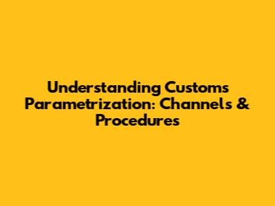 Understanding Customs Parametrization: Channels & Procedures