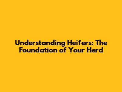 Understanding Heifers: The Foundation of Your Herd