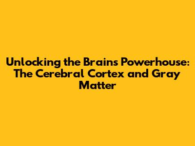 Unlocking the Brain's Powerhouse: The Cerebral Cortex and Gray Matter
