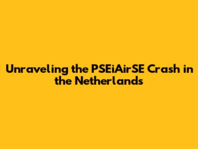 Unraveling the PSEiAirSE Crash in the Netherlands