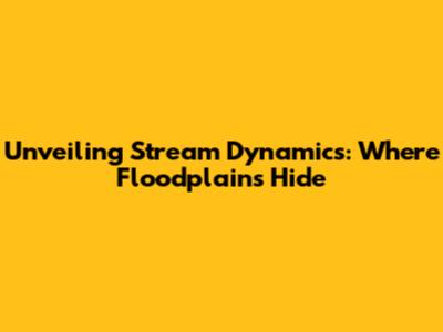 Unveiling Stream Dynamics: Where Floodplains Hide