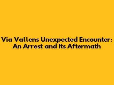 Via Vallen's Unexpected Encounter: An Arrest and Its Aftermath