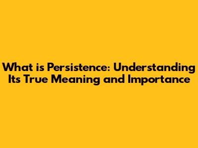 What is Persistence: Understanding Its True Meaning and Importance