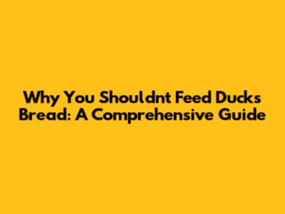 Why You Shouldn't Feed Ducks Bread: A Comprehensive Guide