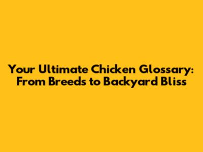 Your Ultimate Chicken Glossary: From Breeds to Backyard Bliss