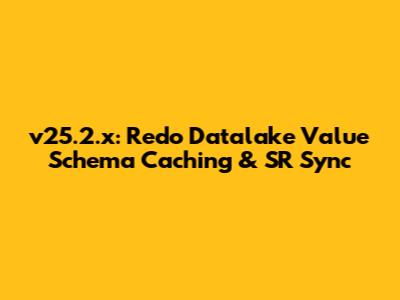v25.2.x: Redo Datalake Value Schema Caching & SR Sync
